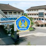 Sosialisasi Dari Universitas Pendidikan Mandalika